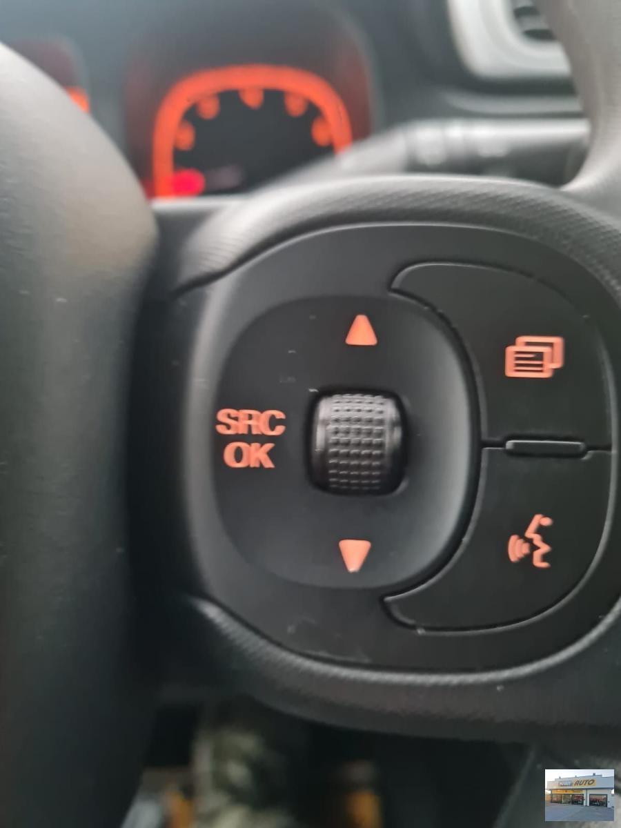 FIAT Panda 1.2 Trussardi Benzina-Neopatentati-2019