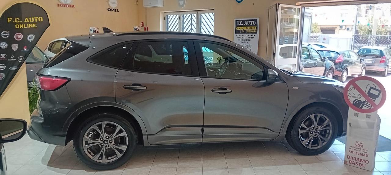 Ford Kuga 1.5 EcoBlue 120 CV aut. 2WD ST-Line