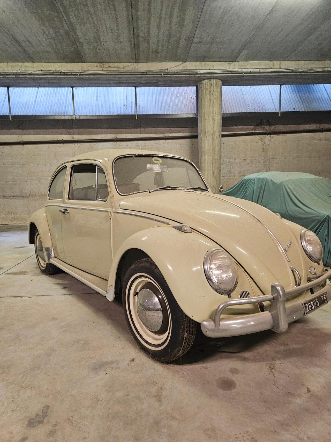 Volkswagen Maggiolino 6v