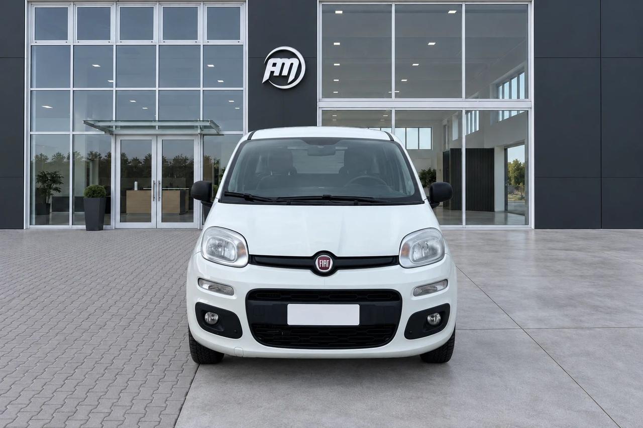 Fiat Panda 1.3Mjt Autocarro N1