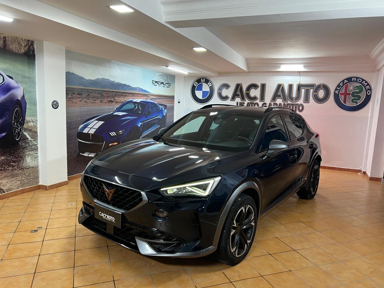 Cupra Formentor 2.0 TDI 4Drive DSG