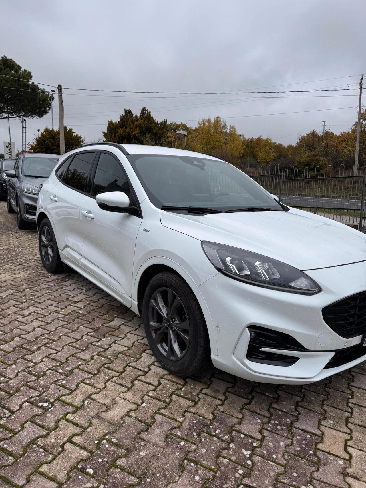 FORD KUGA 1.5 120CV ST-Line 2022