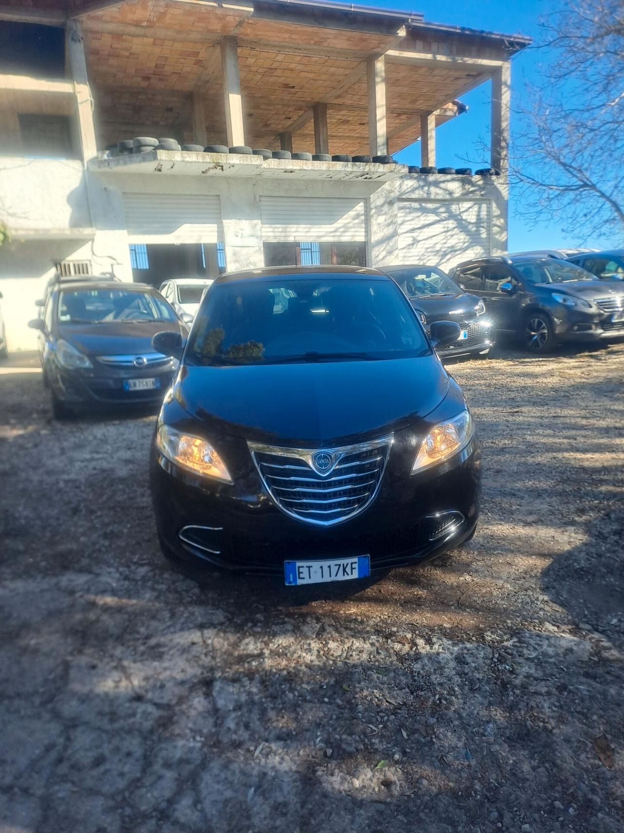 Lancia Ypsilon 1.3 MJT 16V 95 CV 5 porte S&S Platinum
