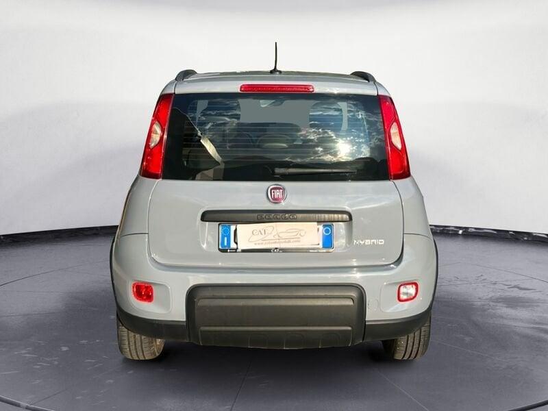 FIAT Panda Panda 1.0 hybrid City Life (PREZZO REALE)