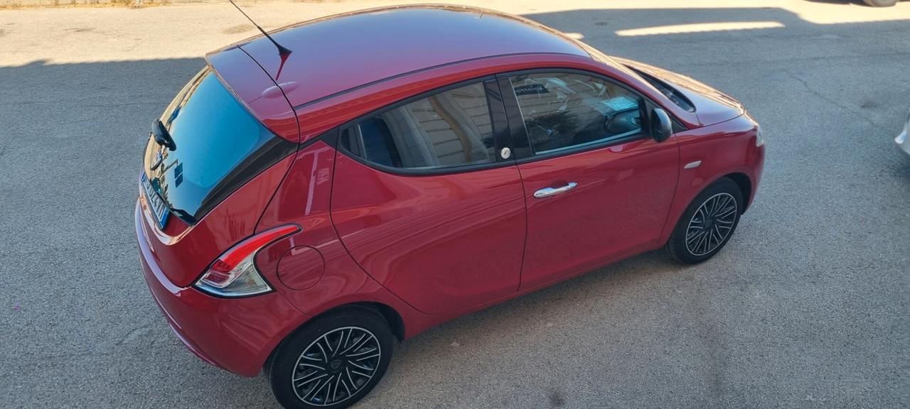 Lancia Ypsilon 1.2 69 CV 5 porte GPL Ecochic