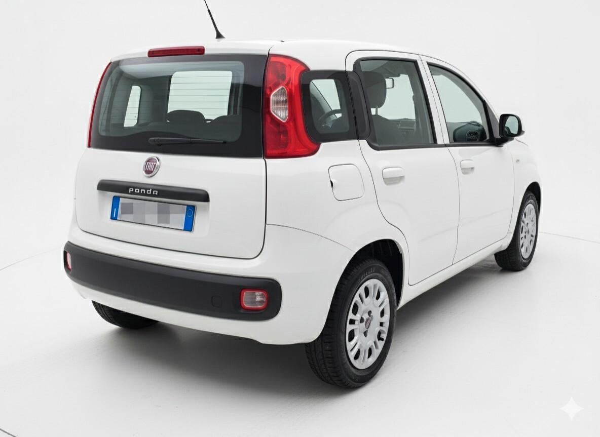 FIAT PANDA 1.2 69cv S&S EASY