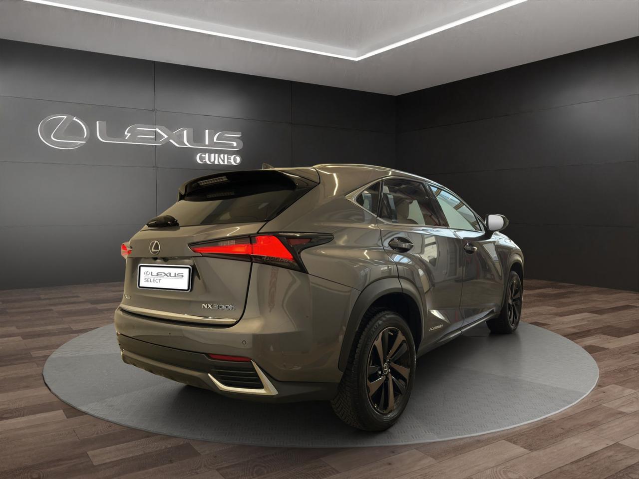 Lexus NX 300h 2.5 Premium 4wd cvt