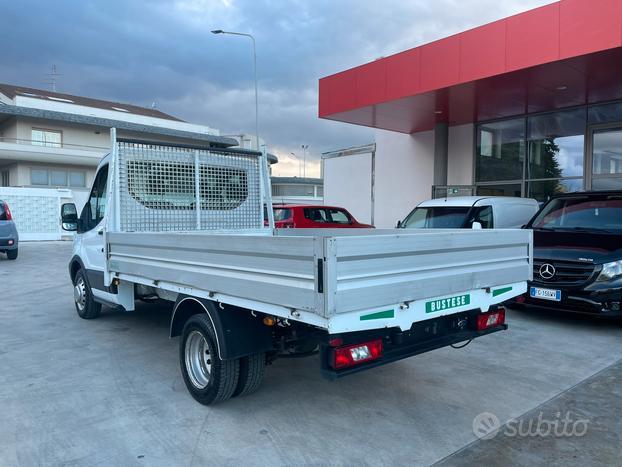 Ford transit cassonato
