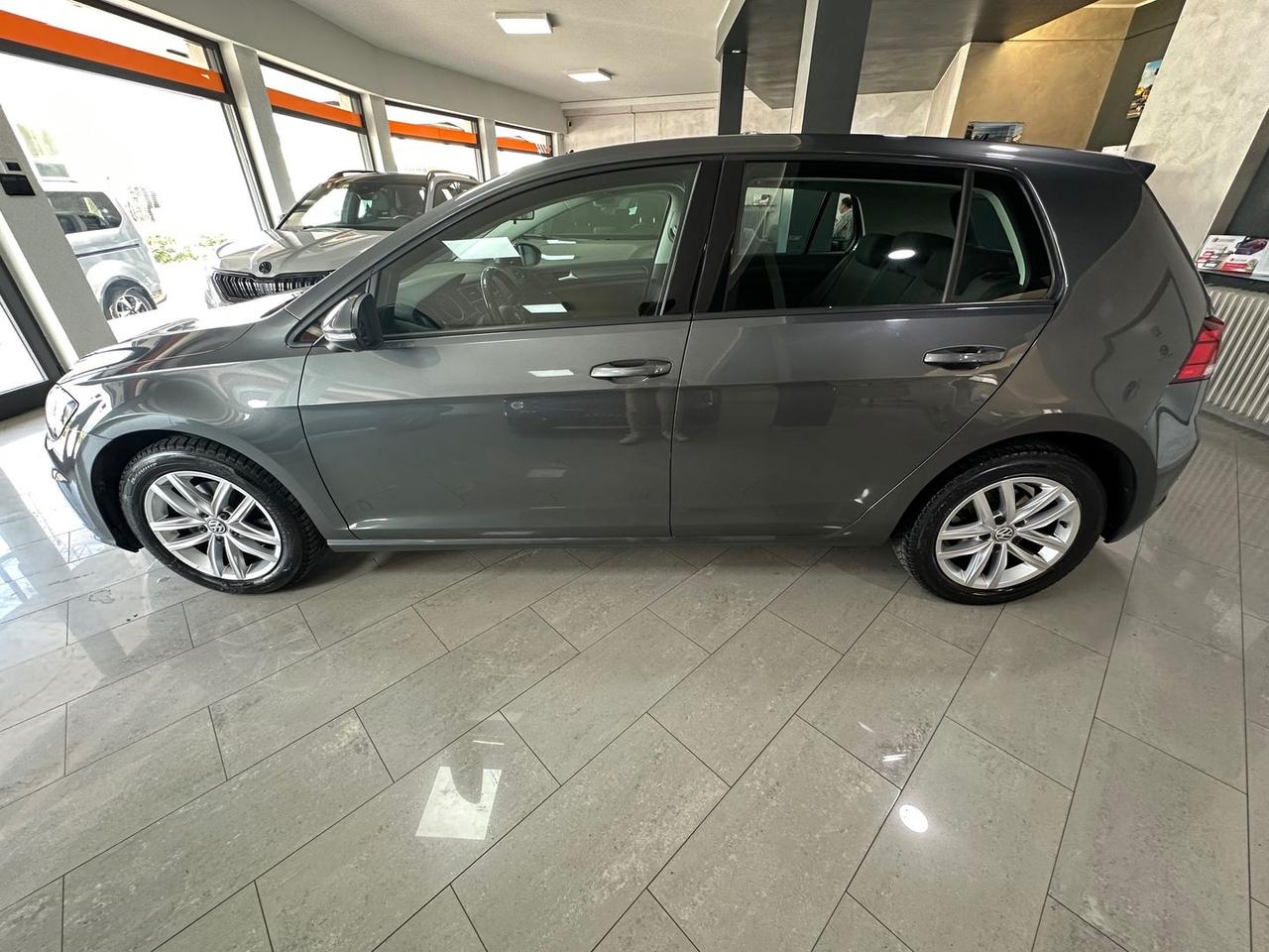 Volkswagen Golf 1.6 TDI BlueMotion Business #5876