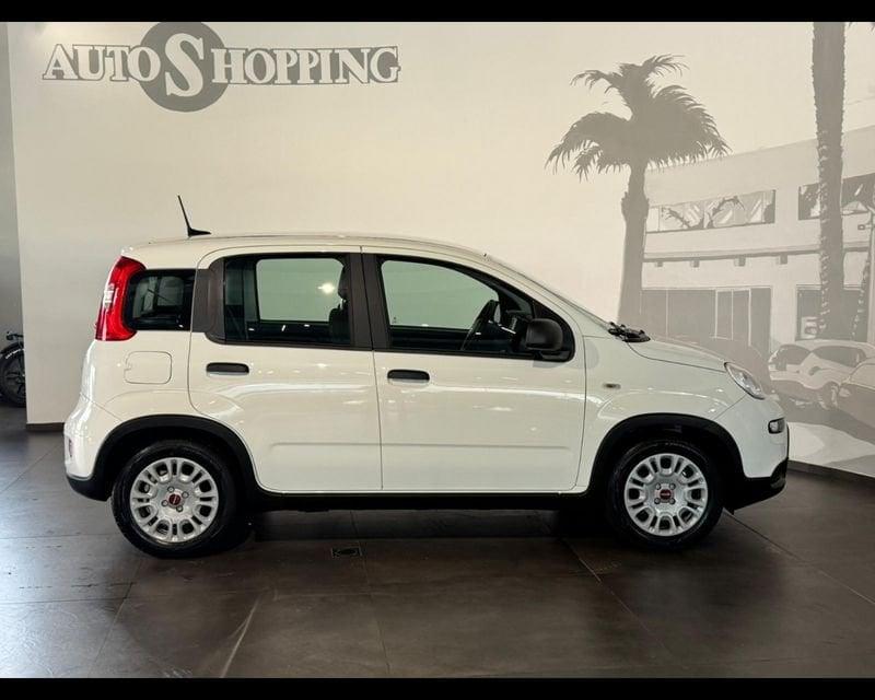 FIAT Panda 3ª serie 1.0 FireFly S&S Hybrid