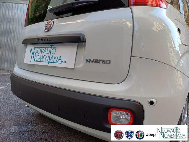 FIAT Panda 1.0 FireFly S&S Hybrid Icon 5°Posto Auto Nuova