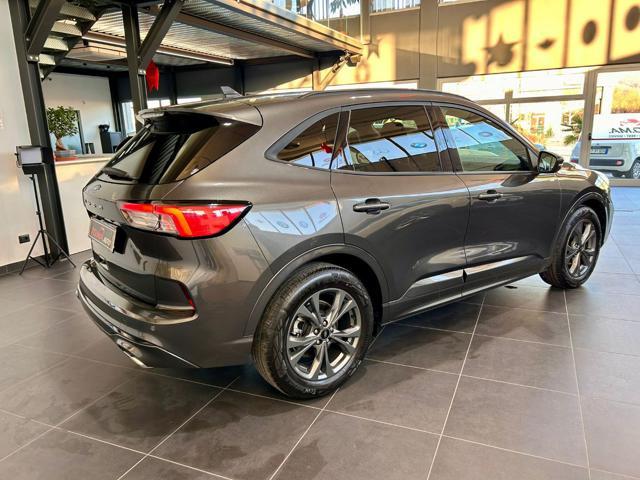 FORD Kuga 2.0 EcoBlue 120 CV aut. 2WD ST-Line Business