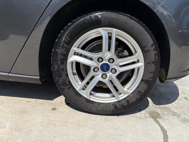 FORD Focus 1.5 EcoBlue 120 CV 5p. Business