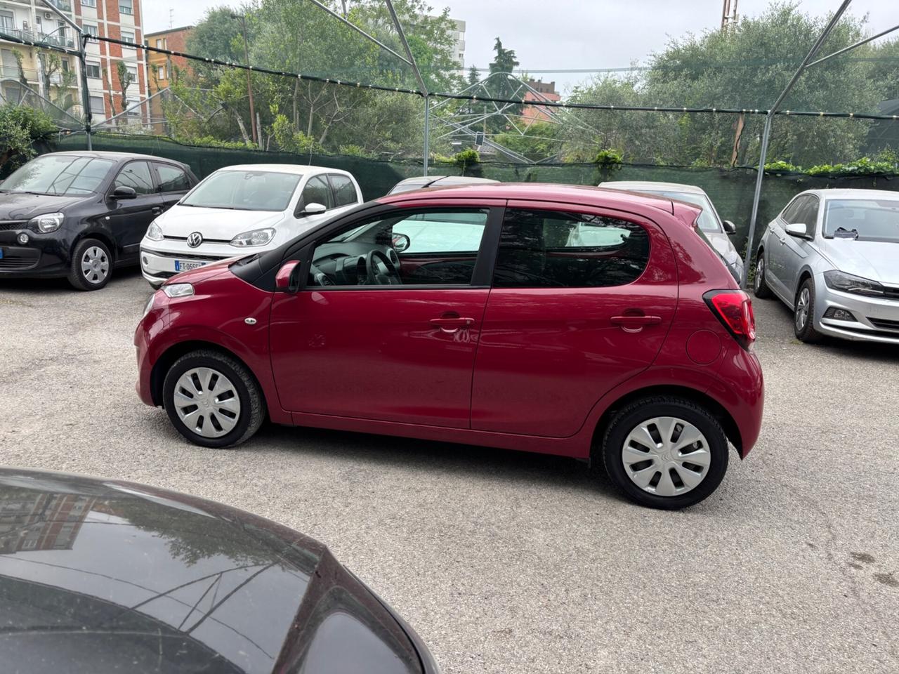 Citroen C1 1.0 5 porte Shine OK NEOPATENTATI