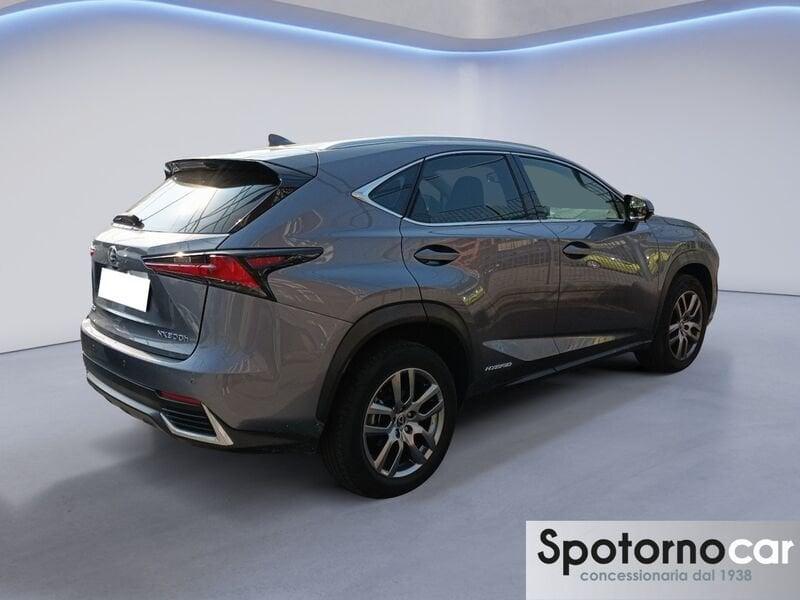 Lexus NX NX Hybrid Business
