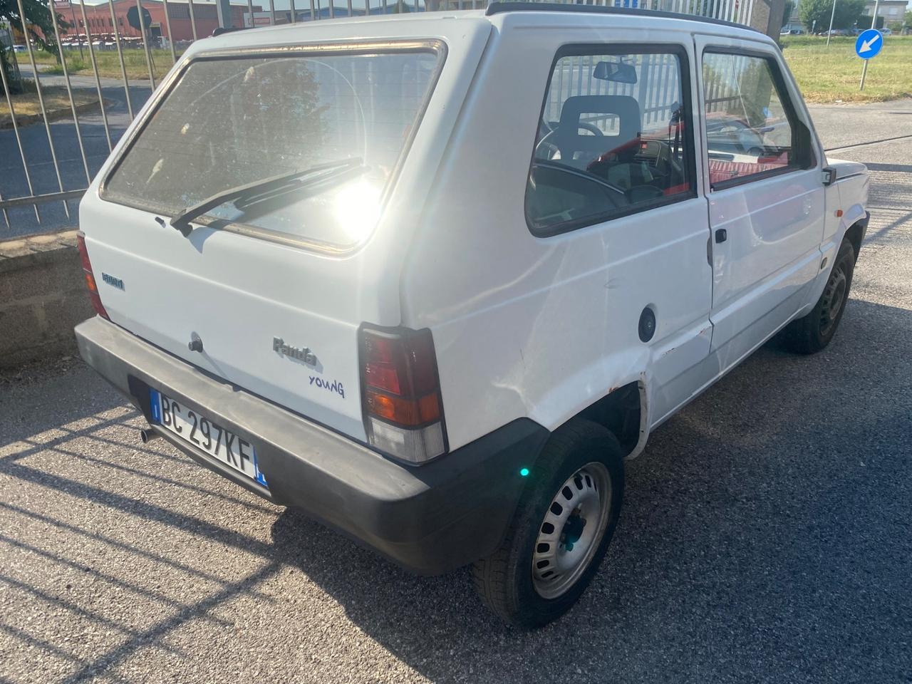 Fiat Panda 900 i.e. cat Young