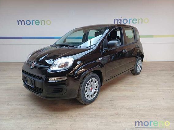 FIAT - Panda - 1.0 firefly hybrid s&s 70 CV