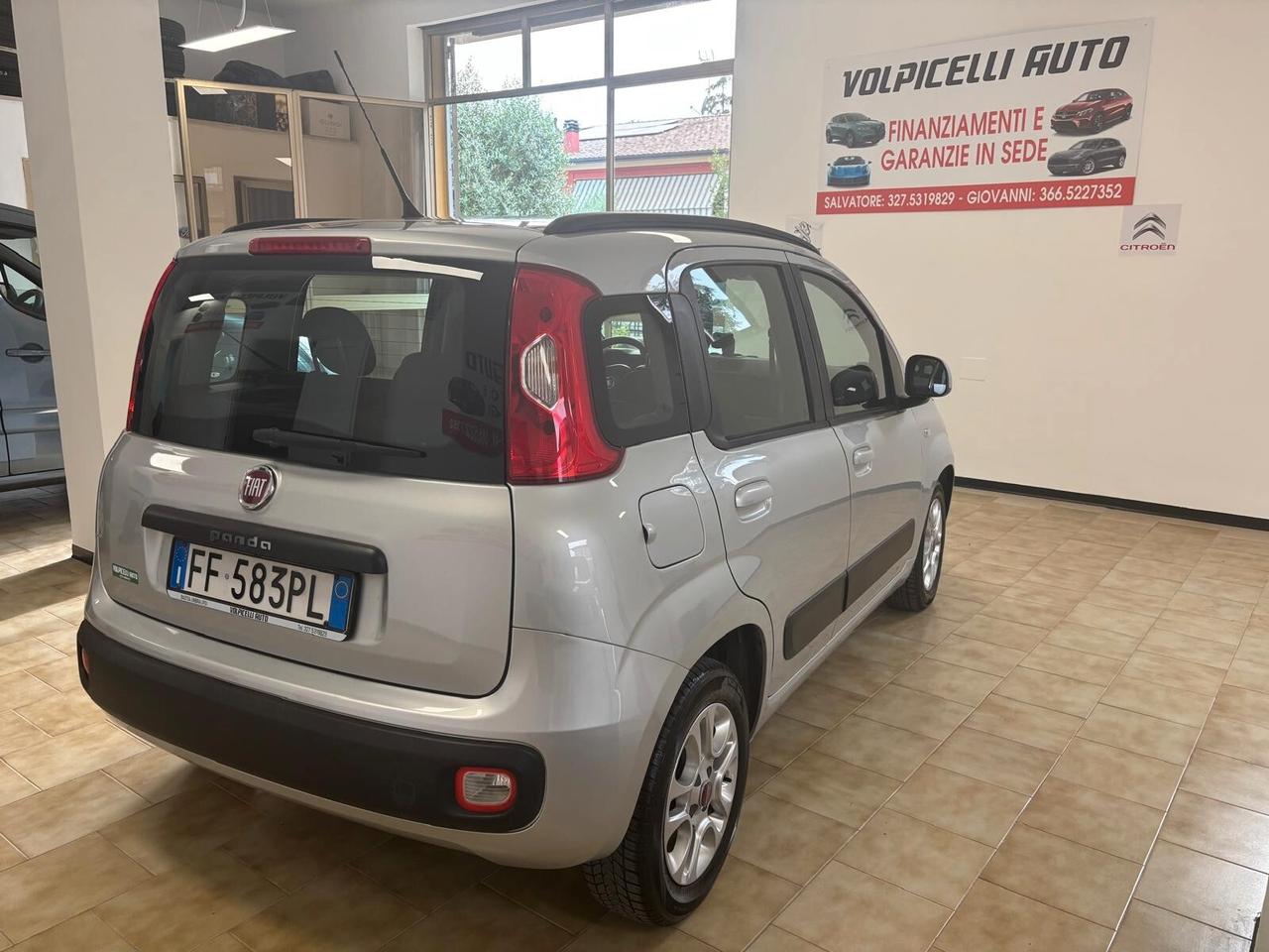 FIAT PANDA ANNO 2016 DS 1.3 MULTIJET ADATTA NEOPATENTATI KM 189 MILA