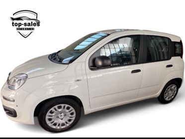 Fiat Panda 1.0 FireFly S&S Hybrid Pandina