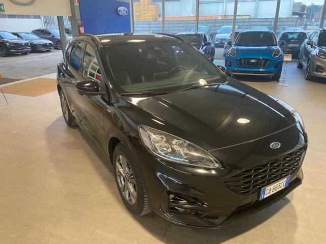 FORD Kuga 1.5 EcoBlue 120 CV 2WD aut. ST-Line X