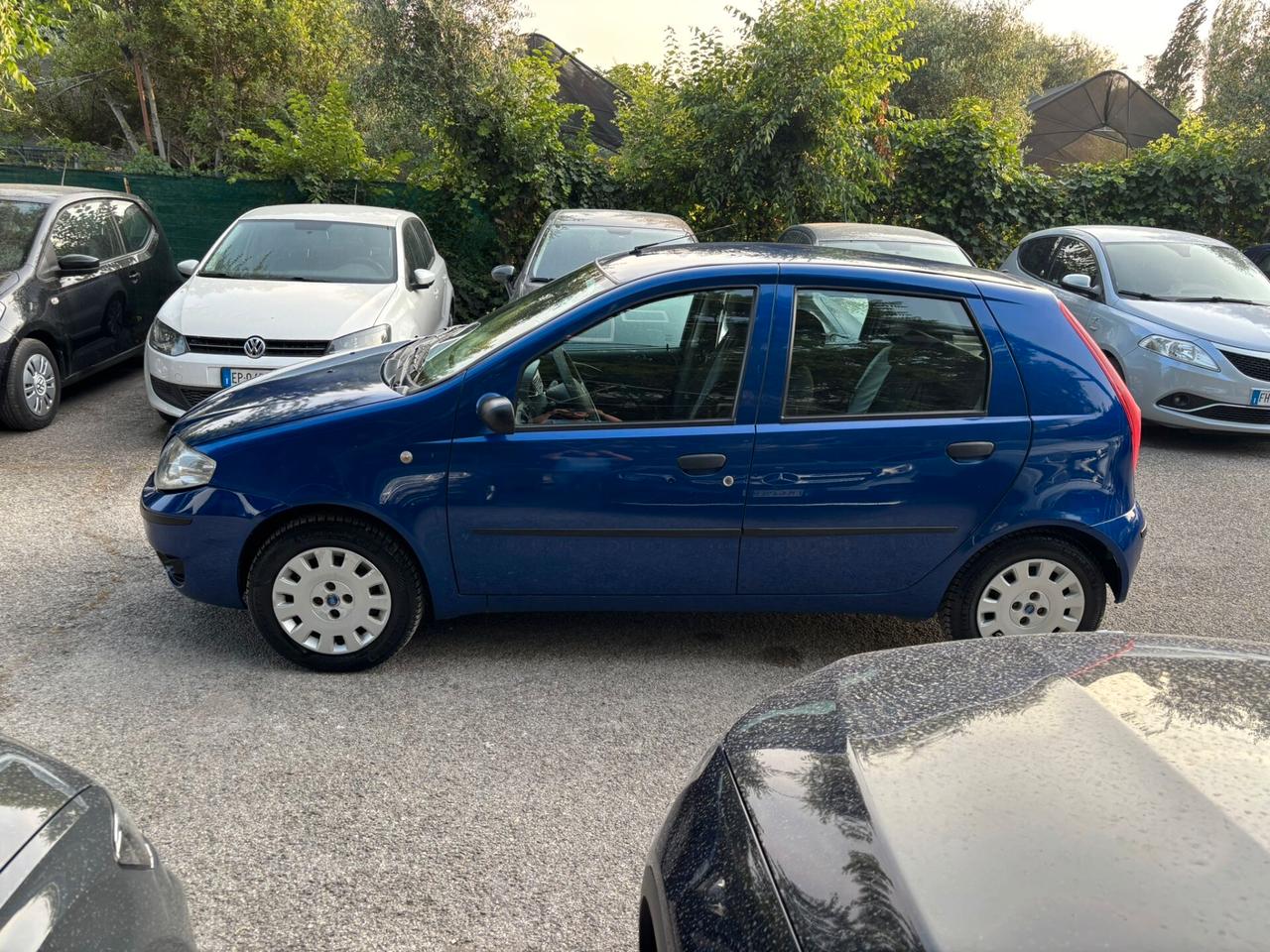 Fiat Punto Classic 1.2 5 porte Natural Power OK Neopatentati