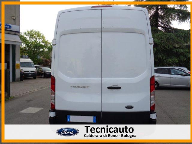 FORD Transit 350 2.0TDCi EcoBlue 170CV PL-TA VAN Trend