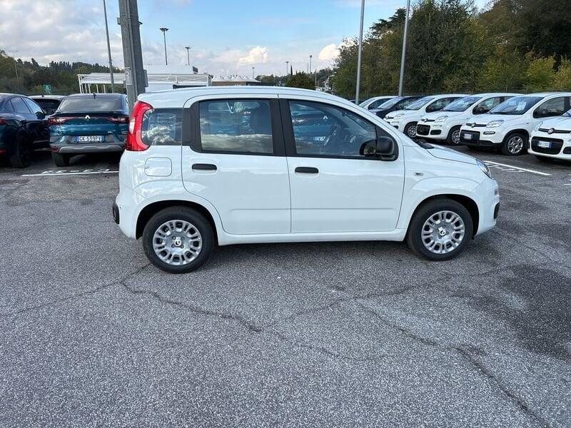 FIAT Panda III Pandina 1.0 firefly hybrid Icon s&s 70cv