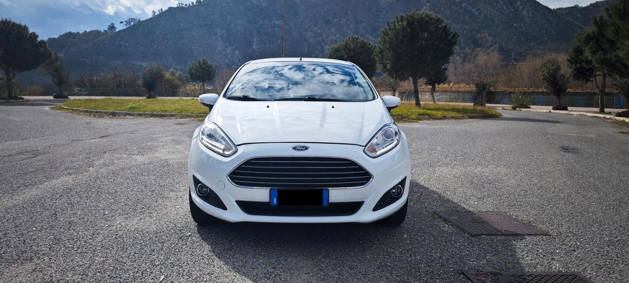 Ford Fiesta 1.2 82CV 5 porte Black & White Edition