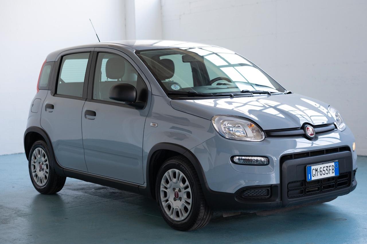 Fiat Panda 1.0 FireFly S&S Hybrid 70CV 2022 IVA ESPOSTA