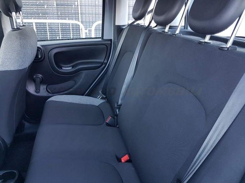 FIAT Panda Panda 1.0 firefly hybrid City Life s&s 70cv 5p.ti