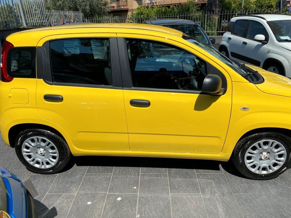 Fiat Panda Pandina 1.0 FireFly 65 CV Hybrid Pop