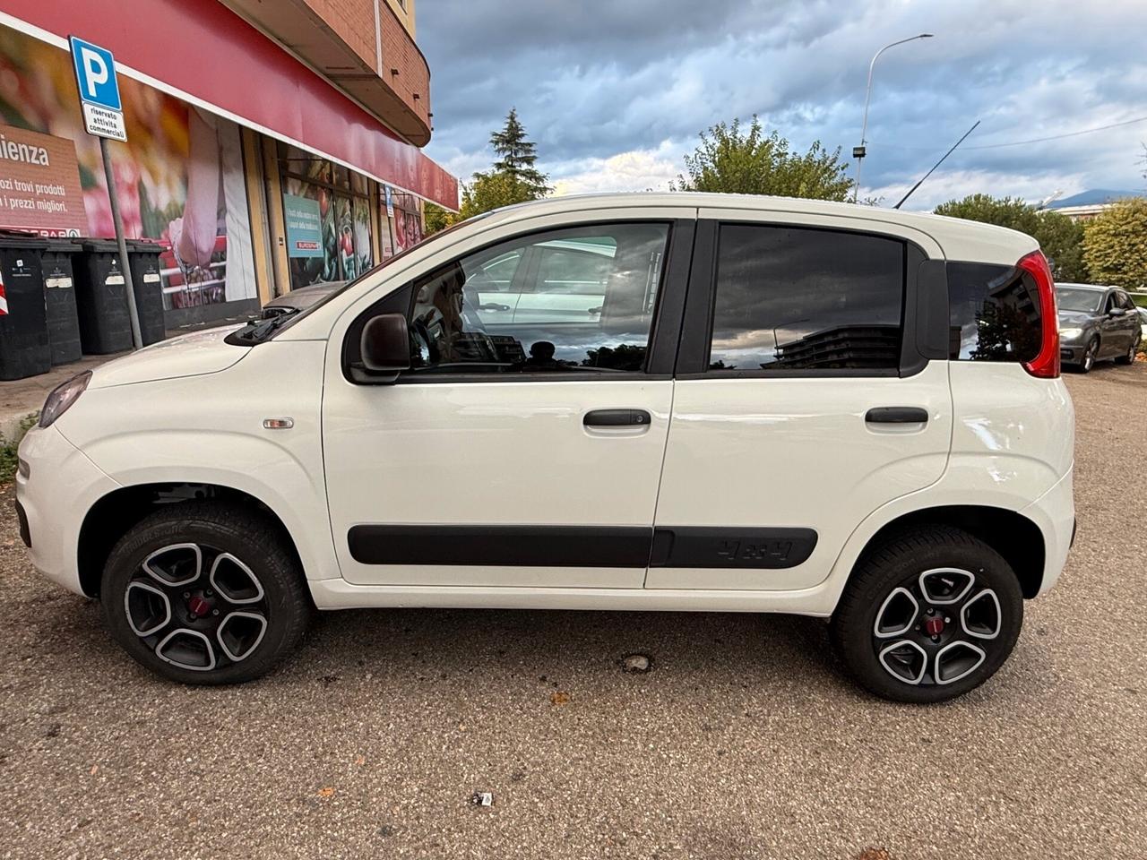 Fiat Panda 0.9 TwinAir Turbo S&S 4x4 Pop Van 2 posti