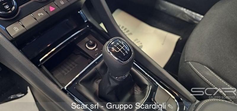 Skoda Karoq Karoq 2.0 TDI SCR 115 CV Executive