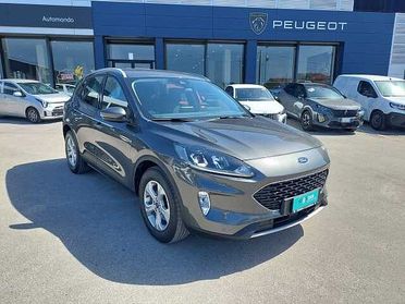 Ford Kuga 1.5 EcoBlue 120 CV 2WD Titanium Business