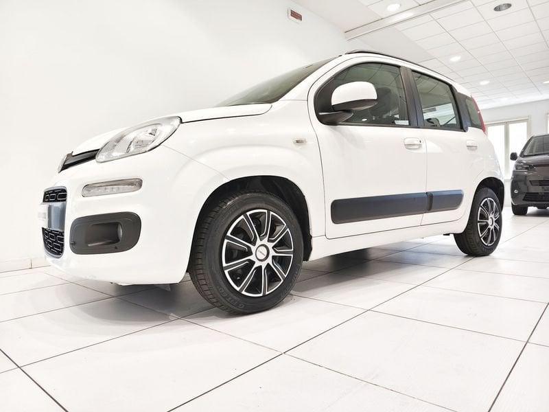 FIAT Panda Panda 1.3 mjt 16v Lounge s&s 95cv*DIESEL*GARANTITA*