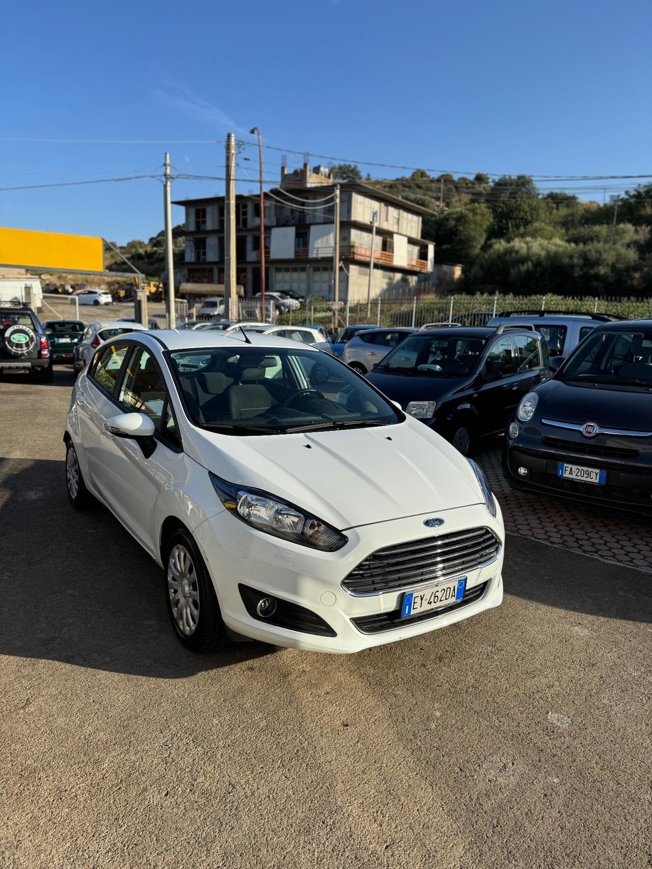 Ford Fiesta 1.5 TDCi 75CV 5 porte Black & White Edition