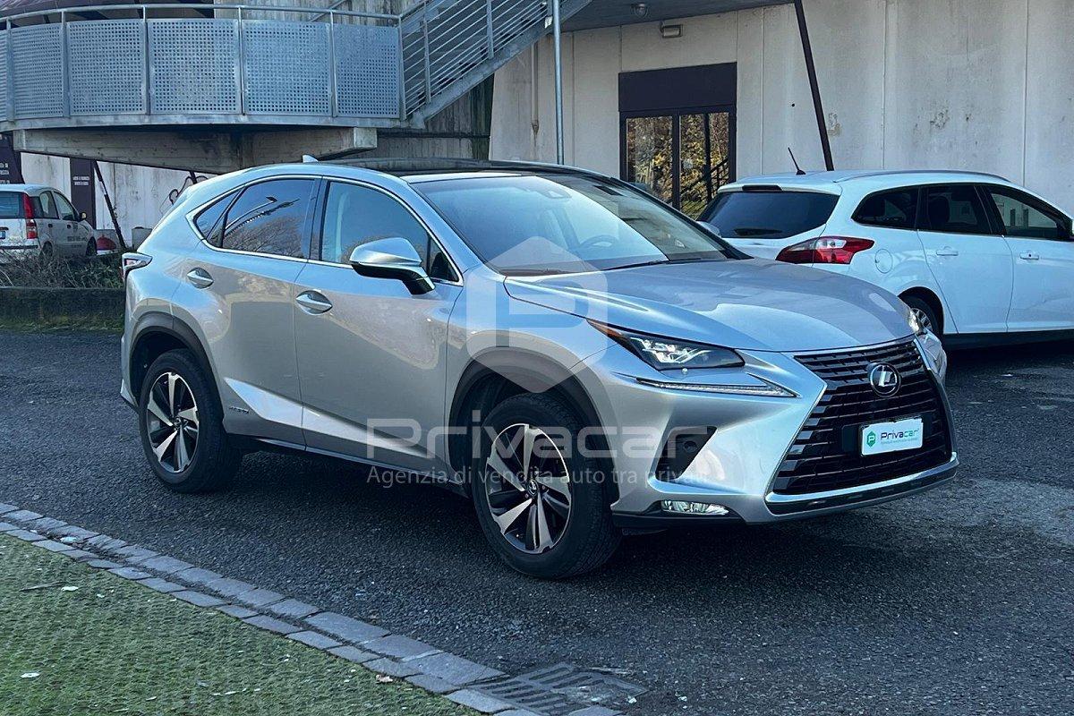 LEXUS NX Hybrid 4WD Luxury