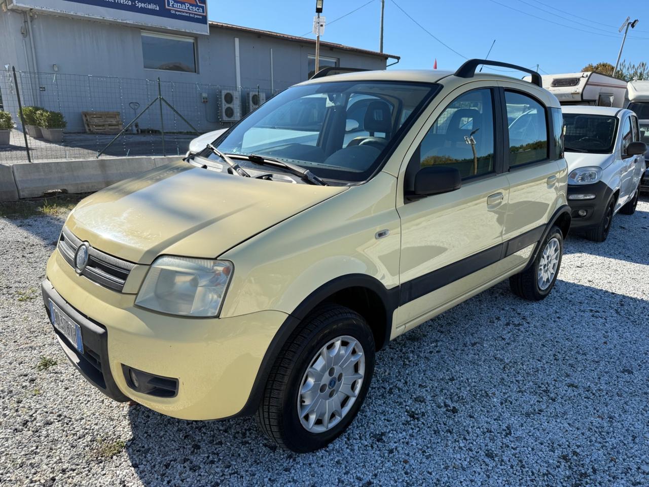 Fiat Panda 1.2 Benzina 4x4 Climbing