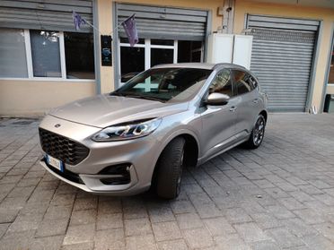 Ford Kuga 1.5 EcoBlue 120 CV aut. 2WD ST-Line X