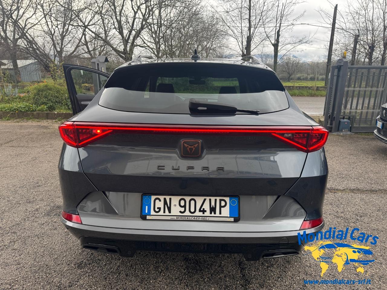 Cupra Formentor 2.0 TDI 4Drive DSG