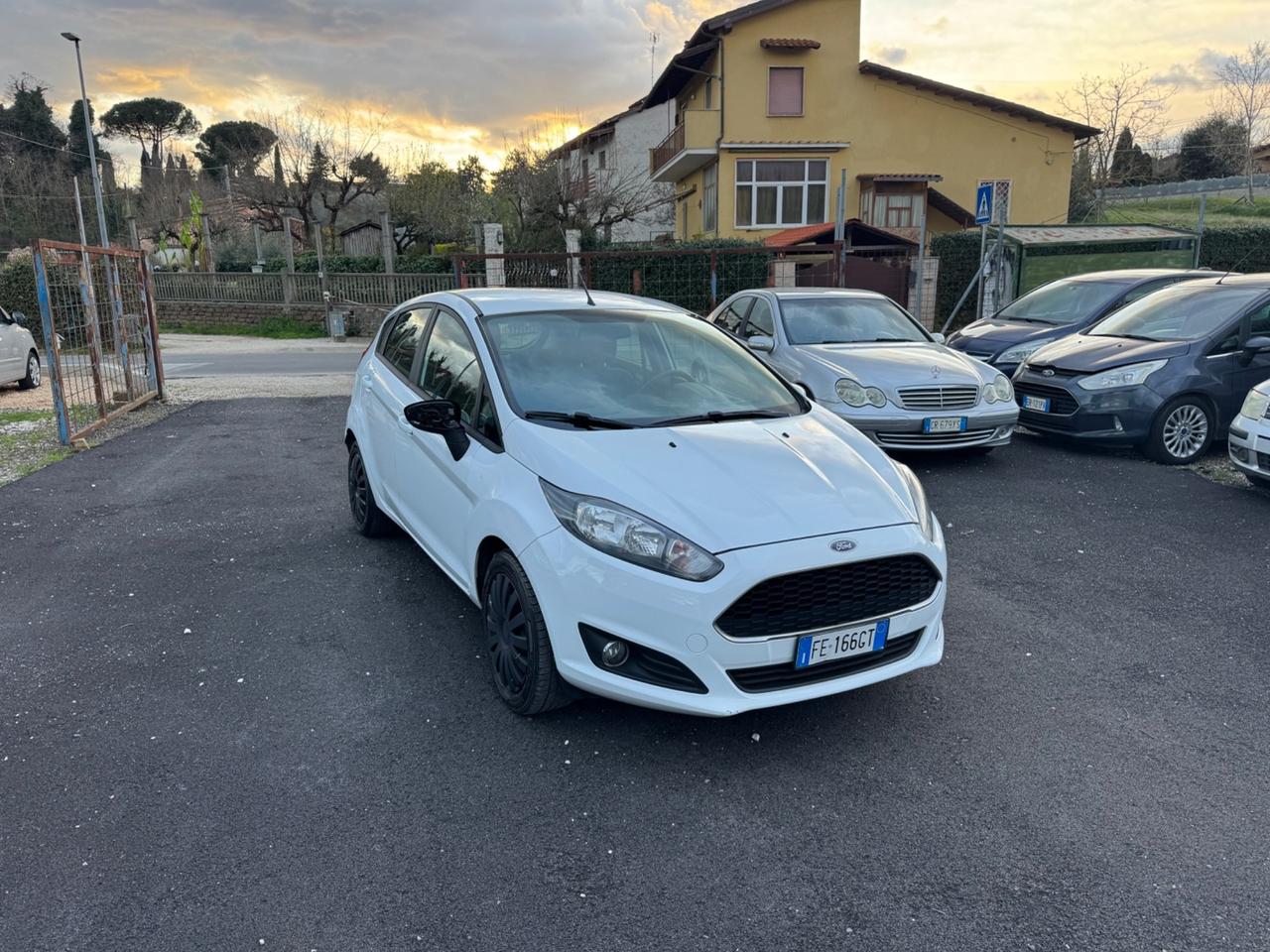 Ford Fiesta 1.5 TDCi 75CV 5 porte Black & White Edition
