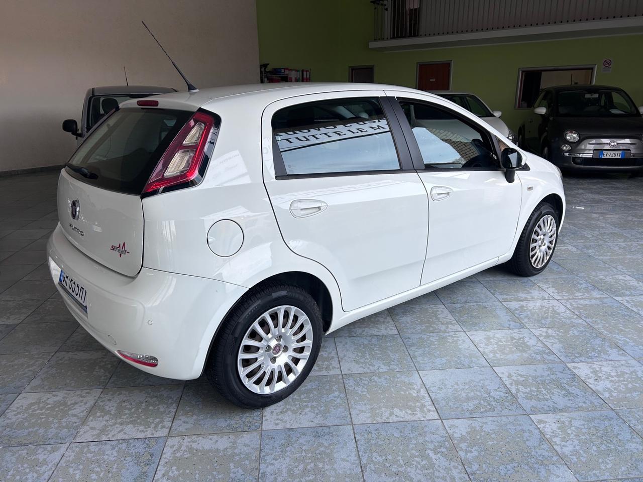 Fiat Punto Evo Street 1.2 5 porte S&S Dynamic