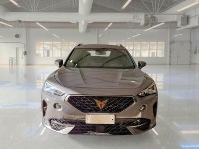 Cupra Formentor 2.0 tdi 4drive 150cv dsg