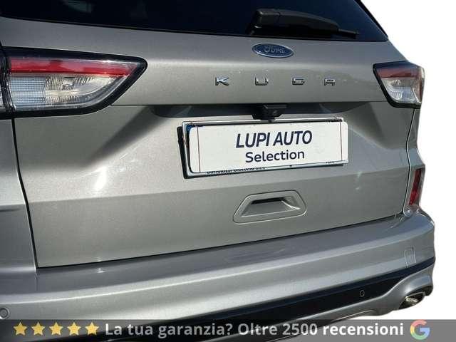 Ford Kuga 1.5 ecoblue ST-Line X 2wd 120cv
