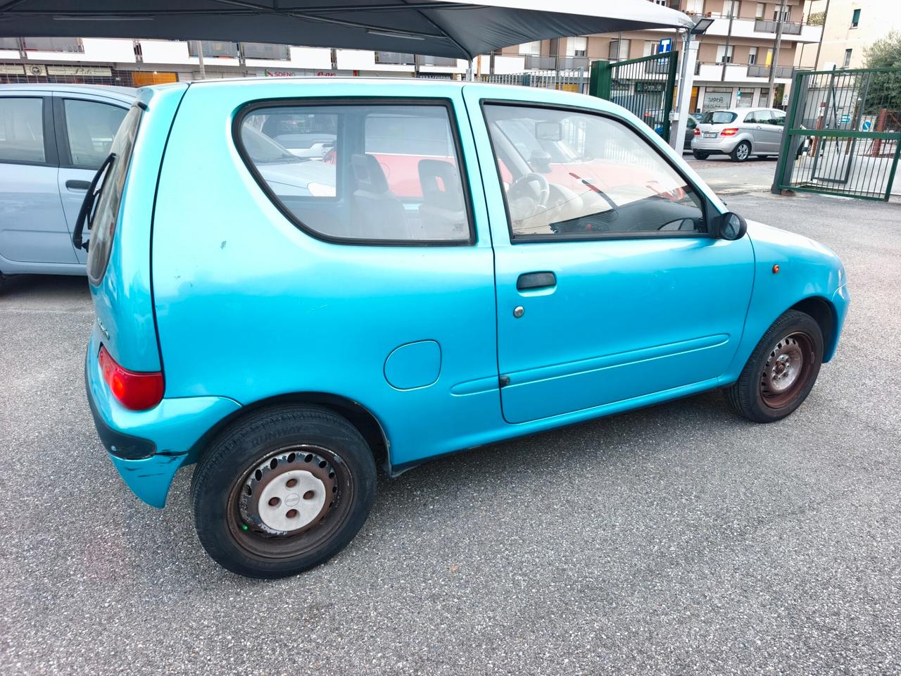Fiat Seicento 900i cat Young