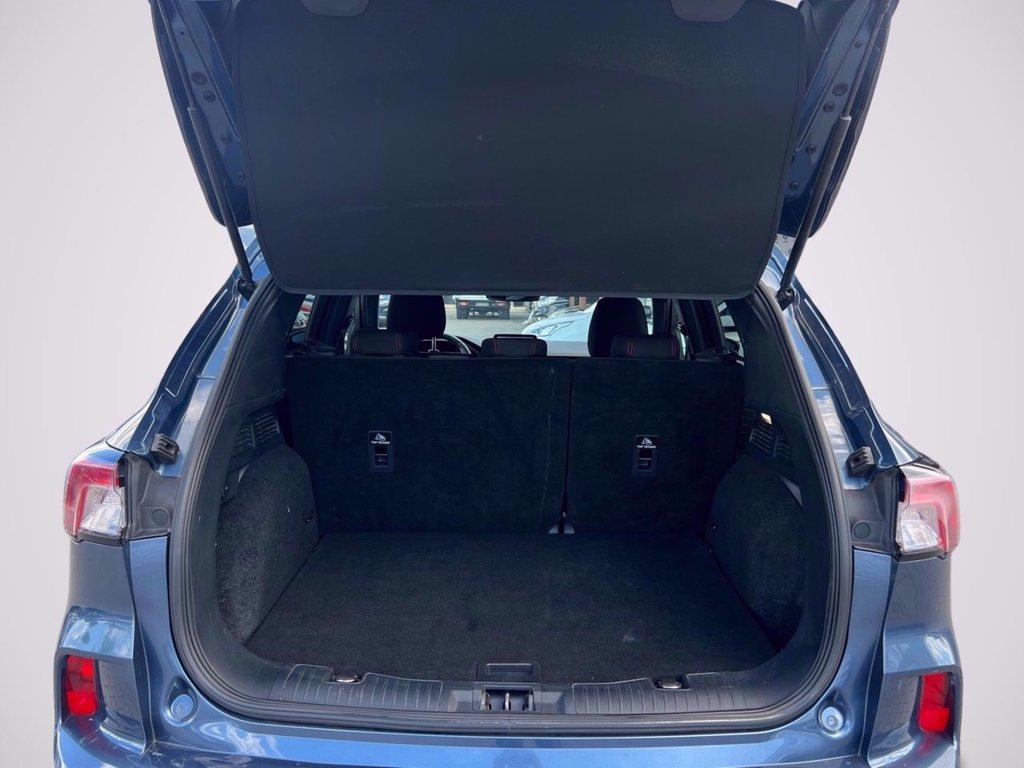 FORD Kuga 1.5 ecoblue ST-Line 2wd 120cv del 2021