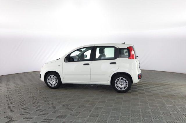 FIAT Panda Pandina 1.0 FireFly 65 CV Hybrid Icon