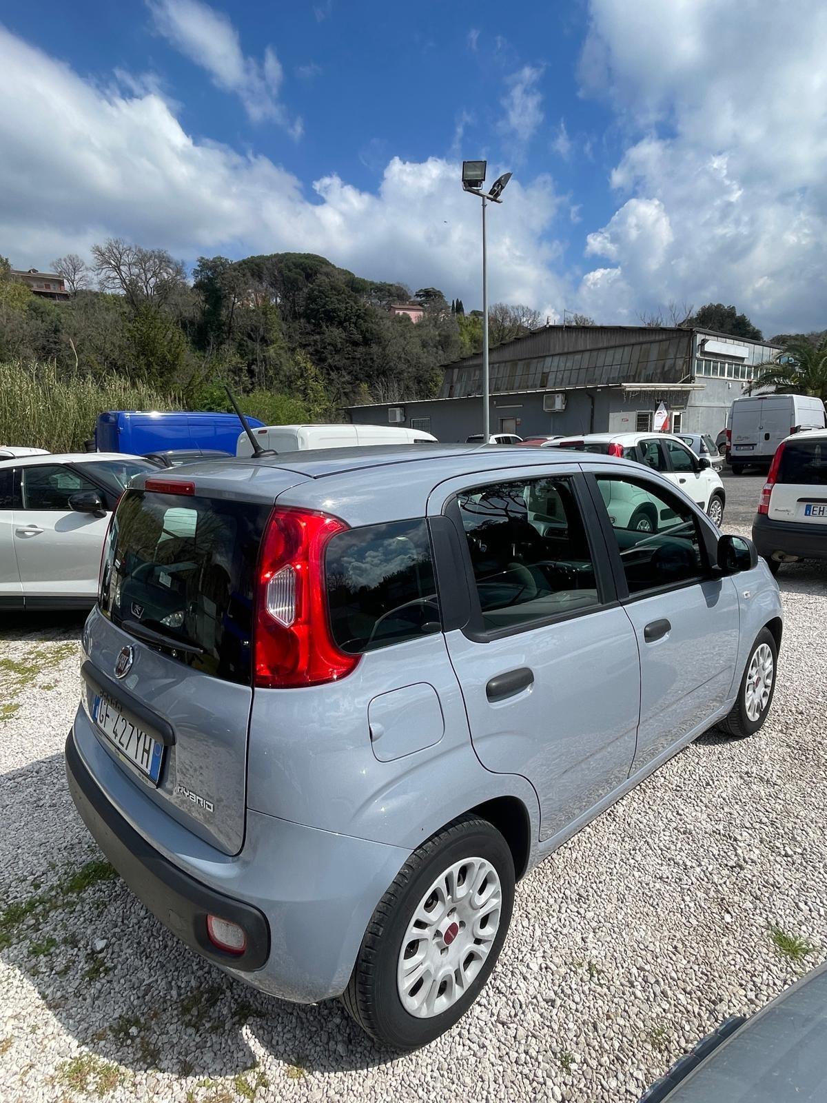Fiat Panda Hibrid Clima Bluetooth Antifurto 2021 garantita