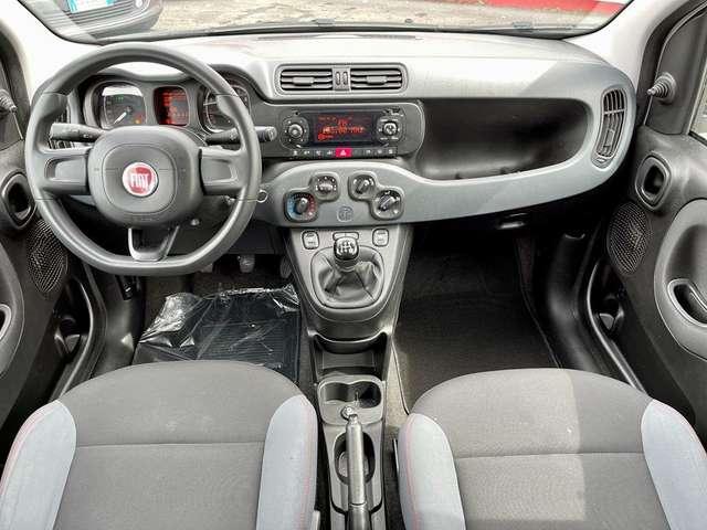 Fiat Panda Panda 1.2 Easy*NO OBBLIGO FINANZIAMENTO* PRONTA