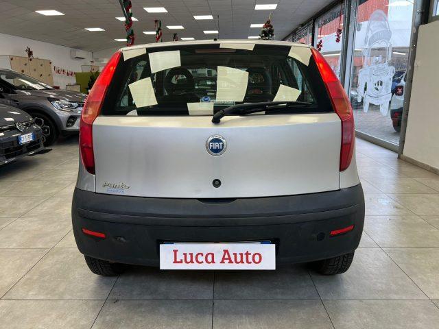 FIAT Punto 1.2 5 porte *DISTRIBUZ. FATTA*OK NEOPAT.*OCCASIONE